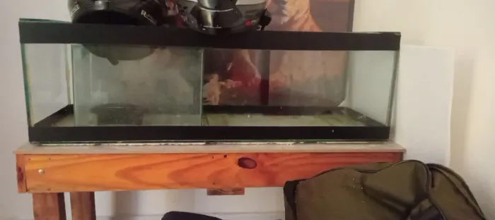 Aquario 100 litros