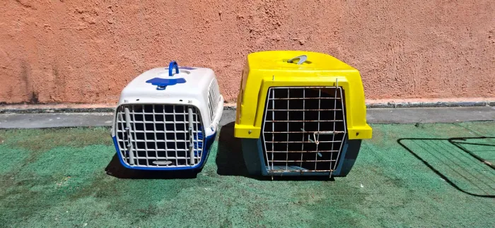 Caixa de transporte Cachorro e Gato - os dois juntos
