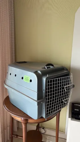 CAIXA DE TRANSPORTE ANIMAL