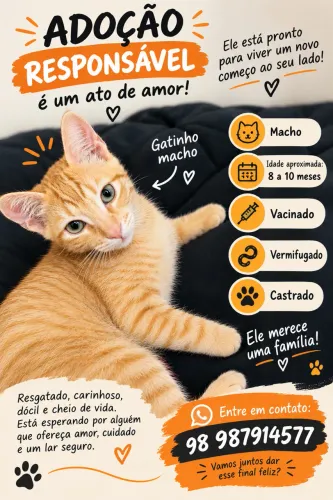 Adoção segura e responsável