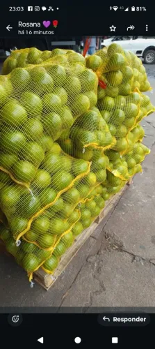 Laranja pera 