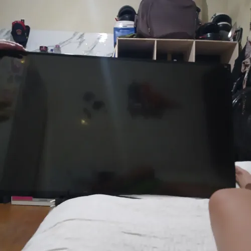 Televisão