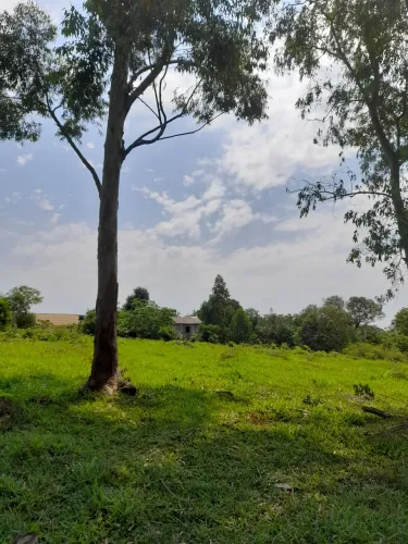 Chácara sitio