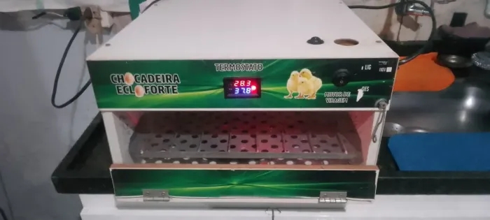 Chocadeira