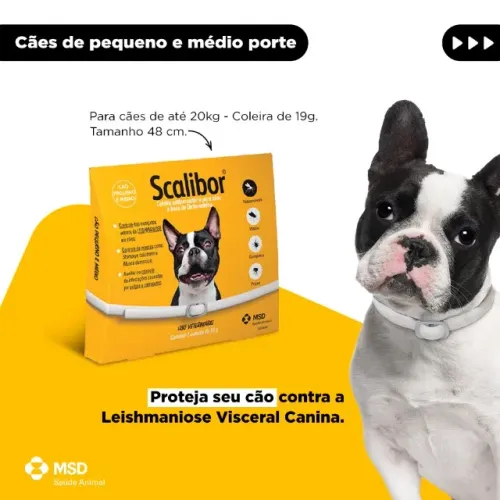 Coleira Antiparasitas Scalibor Cão Pequeno e Médio