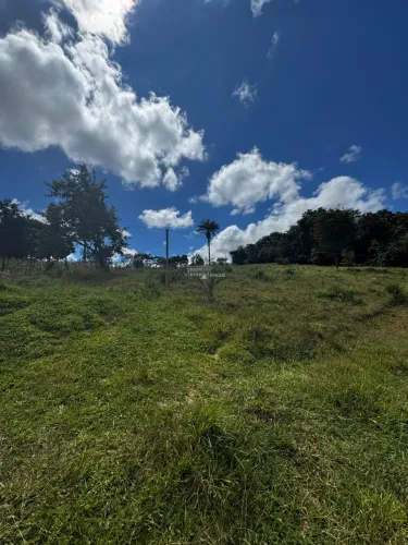 Terreno à venda em Itatiaiuçu-MG