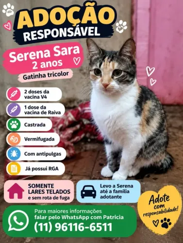 Serena para adoção responsàvel
