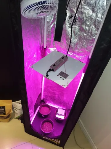 GROW ESTUFA PLANTAS INDOOR
