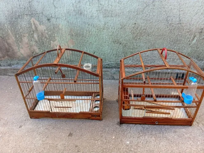 Gaiola para coleiro