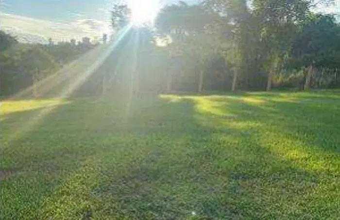 Lote Alphaville Flamboyant Araguaia - 1002,64 m²