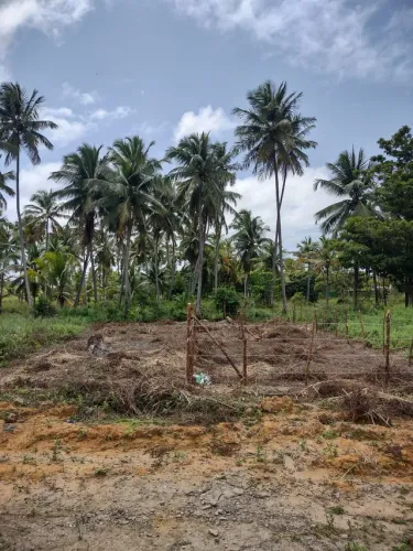 Terreno Lote Jequiá da Praia
