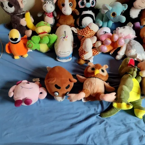 Bichos de pelúcia 