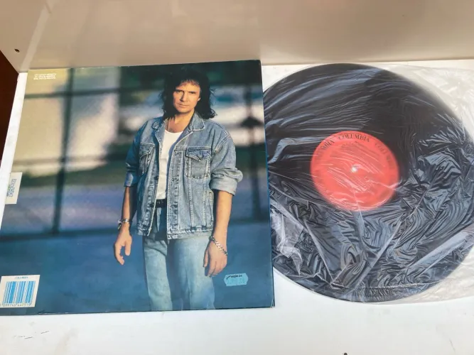 Disco de Vinil Roberto Carlos - Edição Colecionador