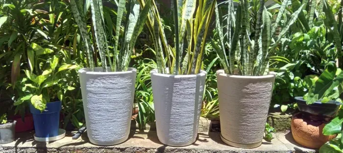 Vasos espada de São Jorge