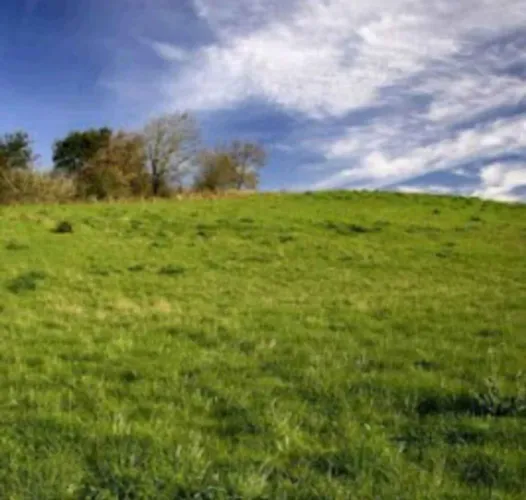 Vendo 50 hectares de terra