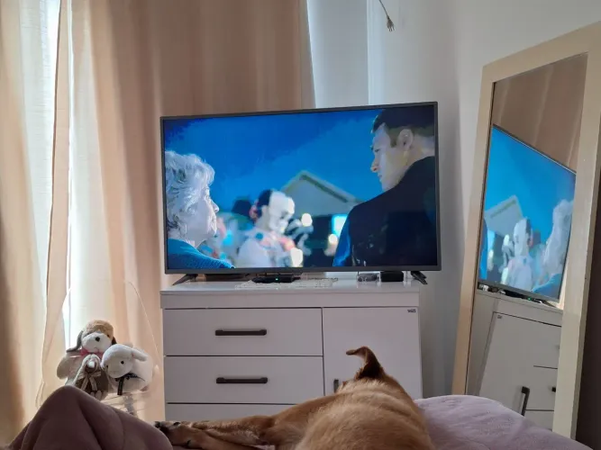 Smart TV Philips 50" 4K (Falha tela)