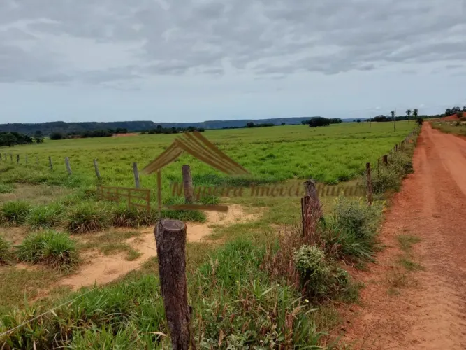 Fazenda a venda com 18.800 hectares na região de Goiatins-TO