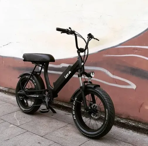 CRUISER LEV REVISADA