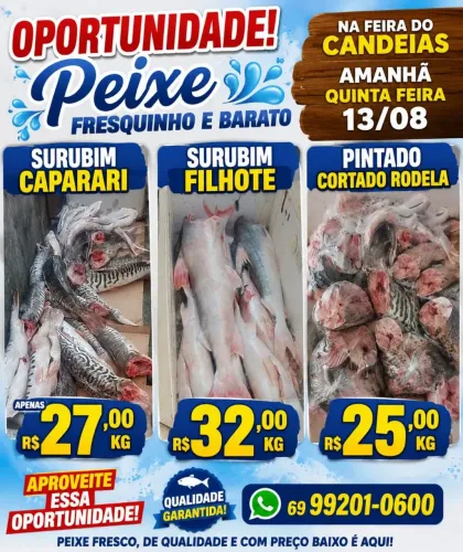 PEIXES nativos fresquinhos melhores preço *
