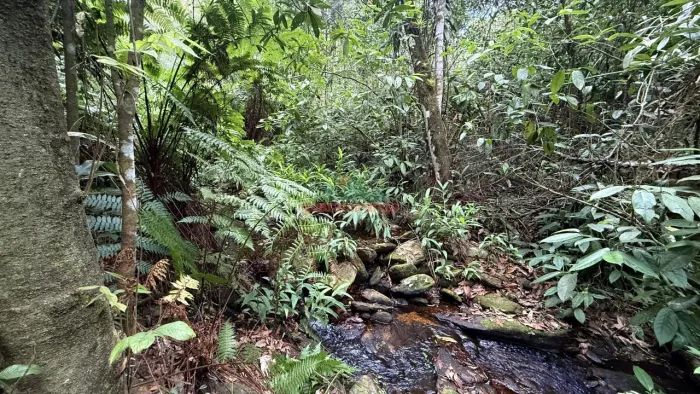 Um lugar único para construir seu sítio, pousada ou empreendimento de alto pot
