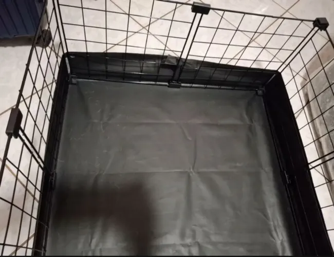 Cercado para pet
