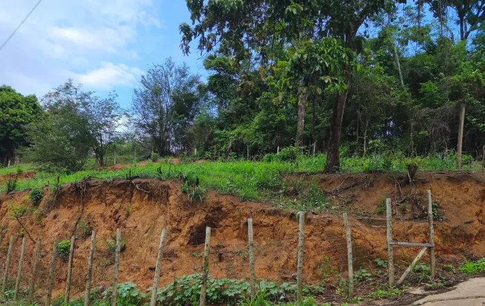 VENDO TERRENO. SEU REFÚGIO NA MATA.