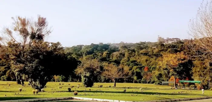 OPORTUNIDADE: Jazigo no Parque Iguaçu - Localização Nobre (Frente às Capelas)