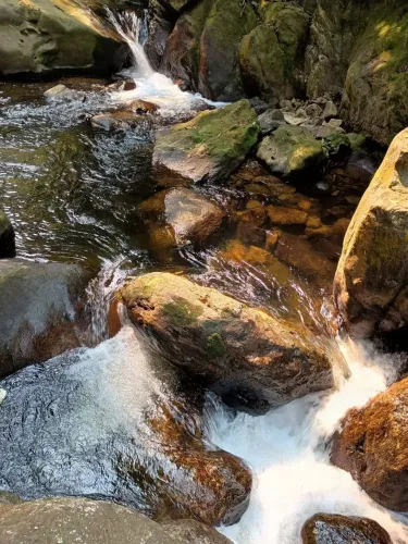 Imóvel para venda possui 18150000 metros quadrados com 1 quarto em Juquiazinho - Juquitiba