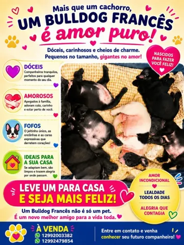 Filhotes disponíveis