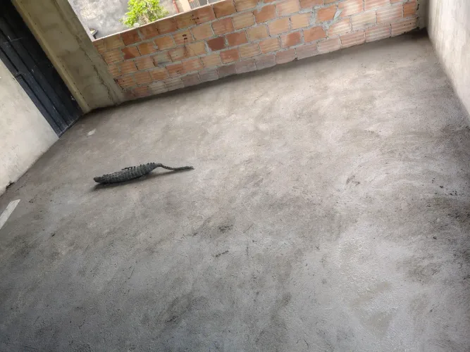 Pedreiro Betim só chama no *