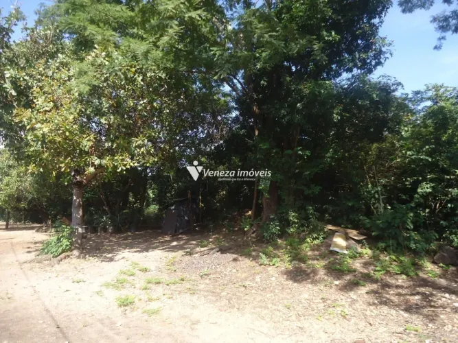 Terrenos no bairro Uruguai para Venda
