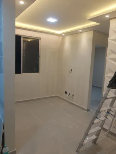 Pintor Profissional