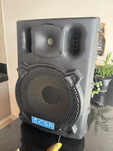 Vendo caixa amplificada 