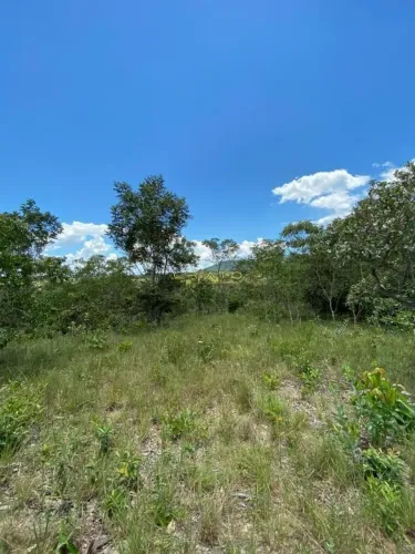 Chácara à venda, 1000 m² por R$ 45.000,00 - Zona Rural - Pirenópolis/GO