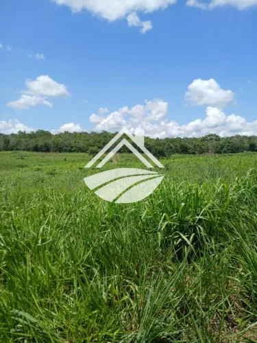 Fazenda para Venda em Santa Maria do Tocantins, agropecuária em expansão