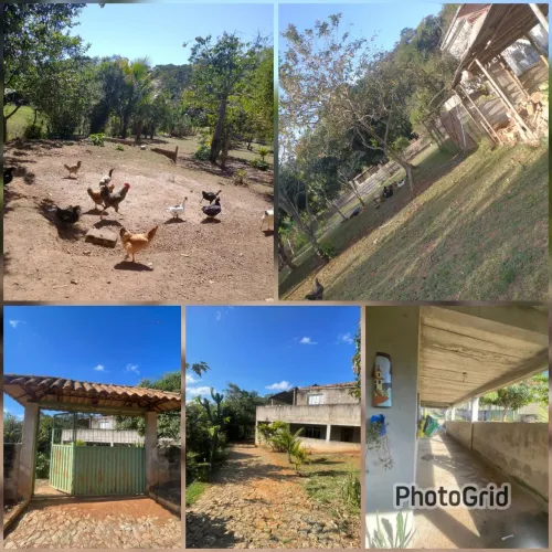 Granja