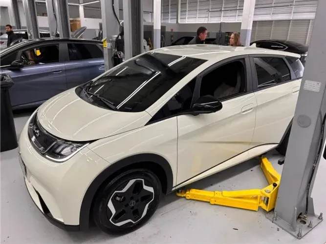 BYD Dolphin EV (Elétrico) 2024
