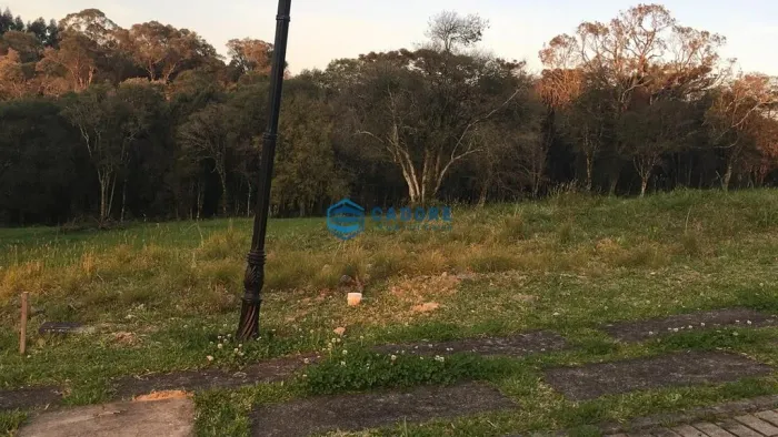 TERRENO COM 1.038m² NA SAGRADA FAMÍLIA