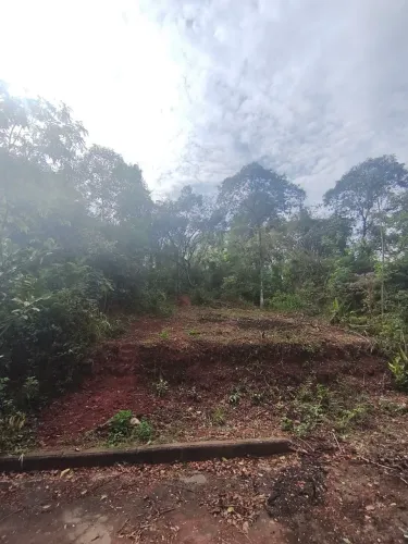 Lote 250 mt²