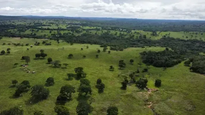 Fazenda c/ 1.132He e 849he bem formados, Torixoreu-MT