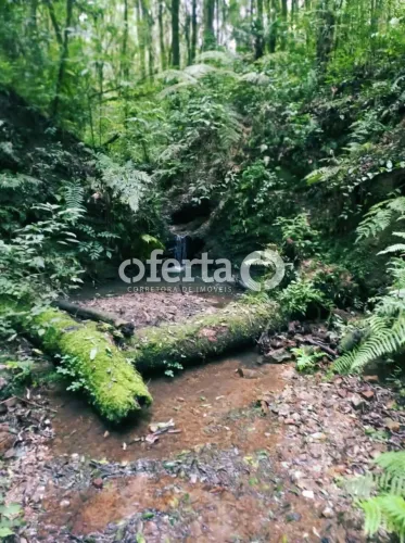 Chácara em Contenda