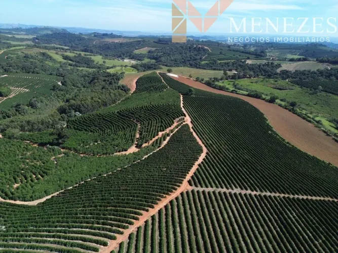 Fazenda de café à venda em Muzambinho MG