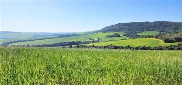 ACEITA PERMUTA 100% - Área Rural 110 Alqueires - Pérola - PR