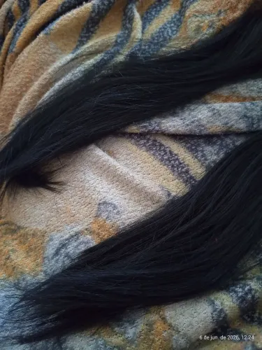 Duas telas de cabelo, não são humanos