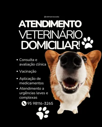 Médico Veterinário