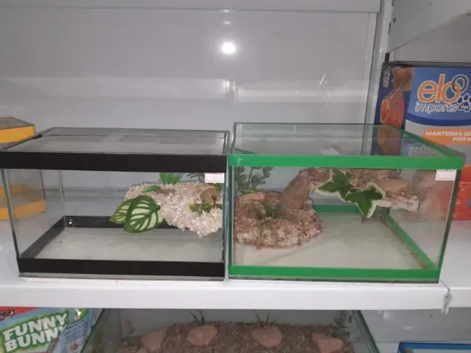 Aquário Tartaruga NOVO