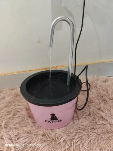 Fonte para gato ? 