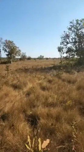 Fazenda - São Félix do Araguaia (MT)