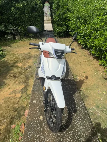 Shineray Phoenix S 50Q