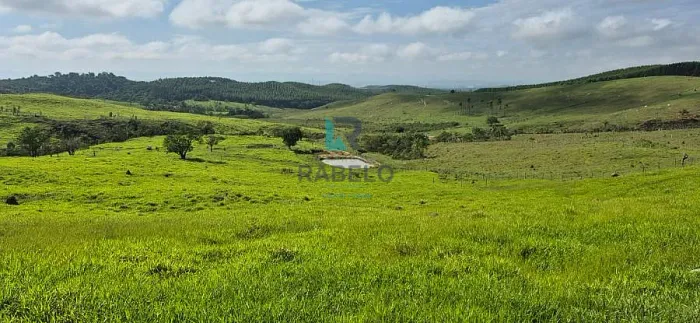 TERRENO RURAL DE TOPOGRAFIA BAIXA EM LORENA-SP